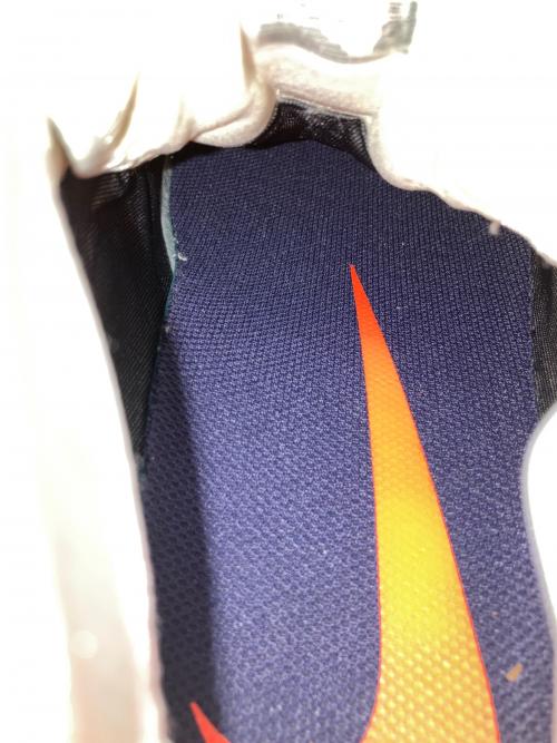 NIKE（ナイキ）NIKE (ナイキ) ペガサストレイル 4 ベージュ サイズ:28.5の古着・服飾アイテム