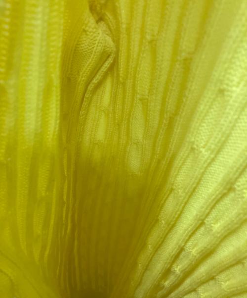 POLO RALPH LAUREN（ポロ・ラルフローレン）POLO RALPH LAUREN (ポロ・ラルフローレン) 厚手カーディガン イエロー サイズ:Mの古着・服飾アイテム