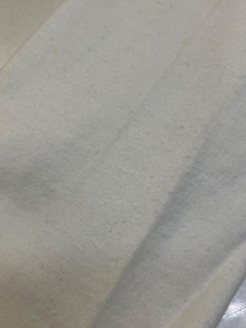 waltervanbeirendonck aestheticterrorists（ウォルター・ヴァン・ベイレンドンク）waltervanbeirendonck aestheticterrorists (ウォルター・ヴァン・ベイレンドンク) 長袖カットソー ホワイト サイズ:Mの古着・服飾アイテム