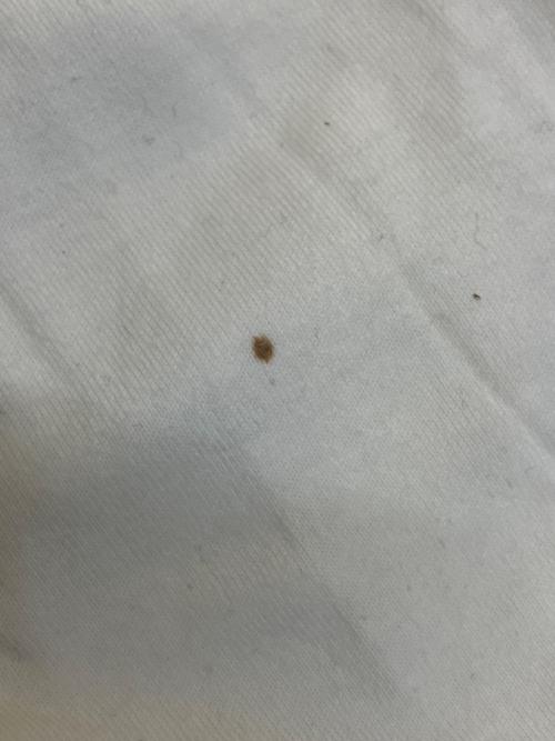 waltervanbeirendonck aestheticterrorists（ウォルター・ヴァン・ベイレンドンク）waltervanbeirendonck aestheticterrorists (ウォルター・ヴァン・ベイレンドンク) 長袖カットソー ホワイト サイズ:Mの古着・服飾アイテム