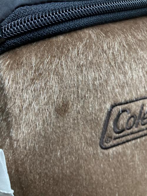 Coleman（コールマン）Coleman (コールマン) LIMITED WALKER 25の古着・服飾アイテム