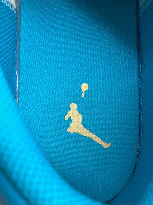 NIKE（ナイキ）NIKE (ナイキ) AIR JORDAN 1 LOW ホワイト×ブルー サイズ:２７cmの古着・服飾アイテム