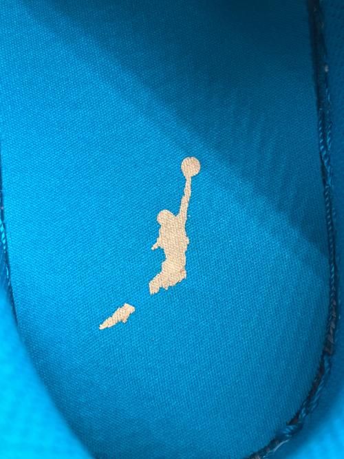 NIKE（ナイキ）NIKE (ナイキ) AIR JORDAN 1 LOW ホワイト×ブルー サイズ:２７cmの古着・服飾アイテム