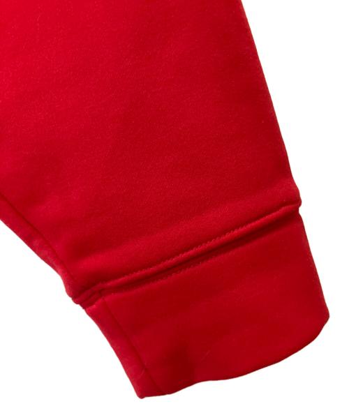 THE NORTH FACE（ザ ノース フェイス）THE NORTH FACE (ザ ノース フェイス) サージェントフーディー レッド サイズ:Lの古着・服飾アイテム