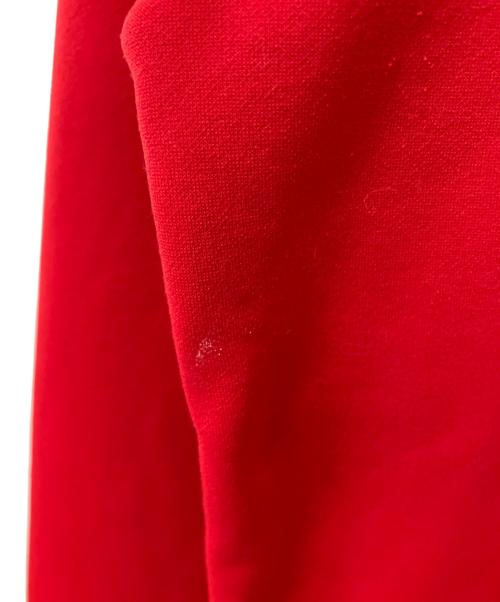 THE NORTH FACE（ザ ノース フェイス）THE NORTH FACE (ザ ノース フェイス) サージェントフーディー レッド サイズ:Lの古着・服飾アイテム