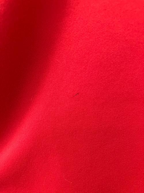 THE NORTH FACE（ザ ノース フェイス）THE NORTH FACE (ザ ノース フェイス) サージェントフーディー レッド サイズ:Lの古着・服飾アイテム