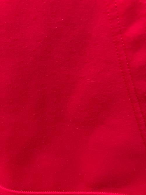 THE NORTH FACE（ザ ノース フェイス）THE NORTH FACE (ザ ノース フェイス) サージェントフーディー レッド サイズ:Lの古着・服飾アイテム