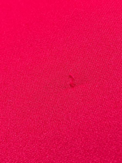 THE NORTH FACE（ザ ノース フェイス）THE NORTH FACE (ザ ノース フェイス) サージェントフーディー レッド サイズ:Lの古着・服飾アイテム