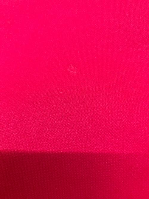 THE NORTH FACE（ザ ノース フェイス）THE NORTH FACE (ザ ノース フェイス) サージェントフーディー レッド サイズ:Lの古着・服飾アイテム