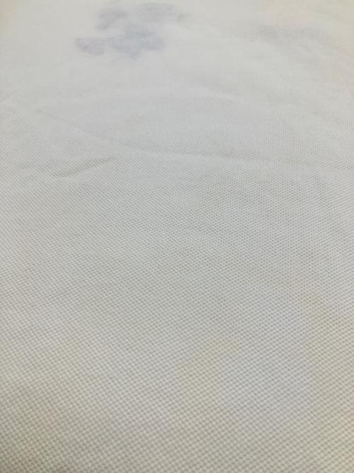 GUCCI（グッチ）GUCCI (グッチ) ポロシャツ アイボリー サイズ:Lの古着・服飾アイテム