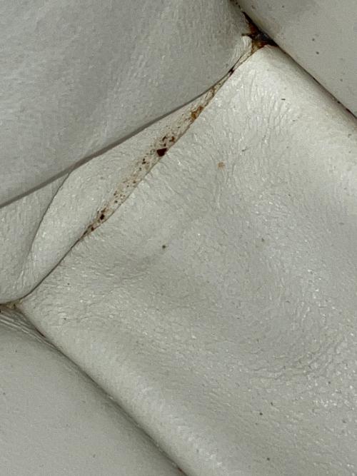 CELINE（セリーヌ）CELINE (セリーヌ) ハンドバッグ ホワイトの古着・服飾アイテム