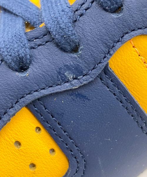 NIKE（ナイキ）NIKE (ナイキ) TERMINATOR LOW OG University Gold and  サイズ:US 9 未使用品の古着・服飾アイテム