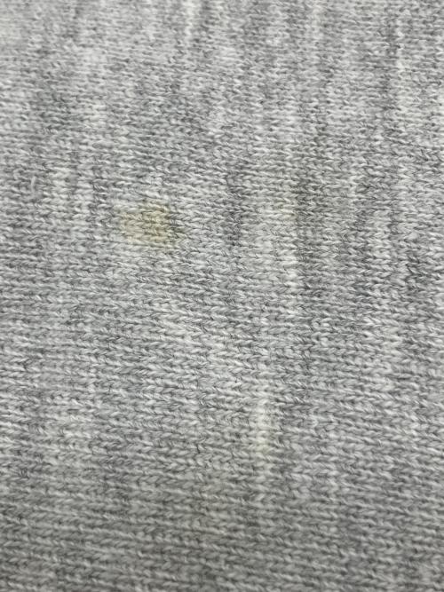 Champion REVERSE WEAVE（チャンピオン リバース ウィーブ）Champion REVERSE WEAVE (チャンピオン リバース ウィーブ) プリントスウェット グレー サイズ:XLの古着・服飾アイテム