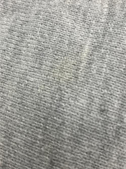 Champion REVERSE WEAVE（チャンピオン リバース ウィーブ）Champion REVERSE WEAVE (チャンピオン リバース ウィーブ) プリントスウェット グレー サイズ:XLの古着・服飾アイテム