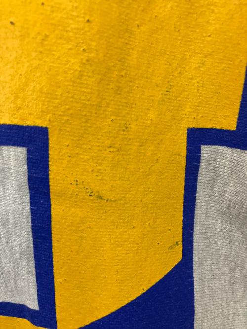 Champion REVERSE WEAVE（チャンピオン リバース ウィーブ）Champion REVERSE WEAVE (チャンピオン リバース ウィーブ) プリントスウェット グレー サイズ:XLの古着・服飾アイテム
