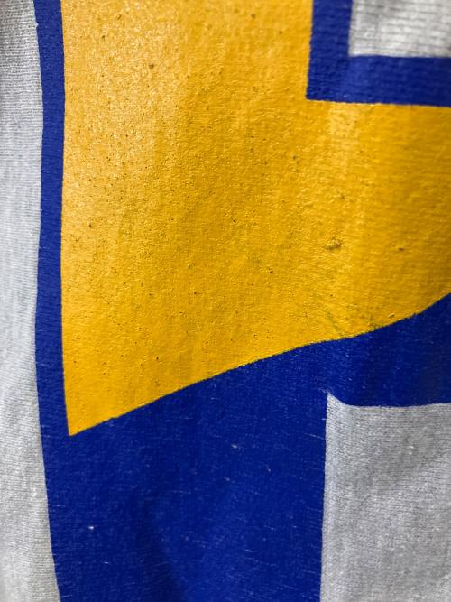 Champion REVERSE WEAVE（チャンピオン リバース ウィーブ）Champion REVERSE WEAVE (チャンピオン リバース ウィーブ) プリントスウェット グレー サイズ:XLの古着・服飾アイテム