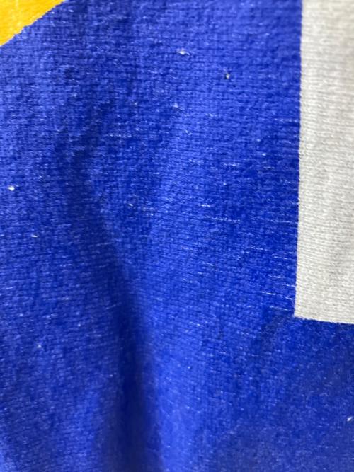 Champion REVERSE WEAVE（チャンピオン リバース ウィーブ）Champion REVERSE WEAVE (チャンピオン リバース ウィーブ) プリントスウェット グレー サイズ:XLの古着・服飾アイテム
