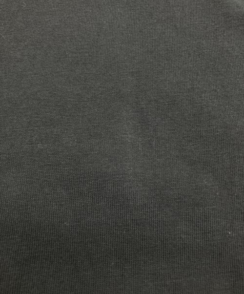 THE NORTH FACE（ザ ノース フェイス）THE NORTH FACE (ザ ノース フェイス) 半袖カットソー ブラック サイズ:Lの古着・服飾アイテム