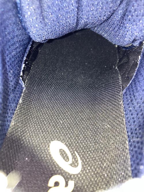 asics（アシックス）asics (アシックス) GEL-KAYANO サイズ:29cmの古着・服飾アイテム