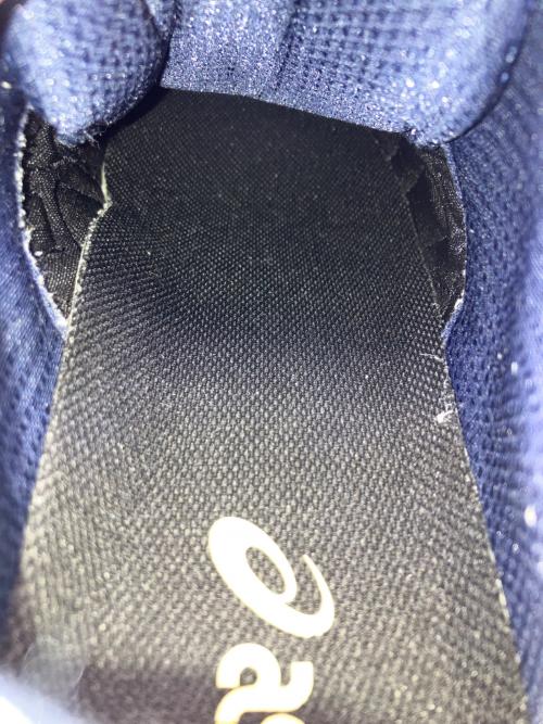 asics（アシックス）asics (アシックス) GEL-KAYANO サイズ:29cmの古着・服飾アイテム