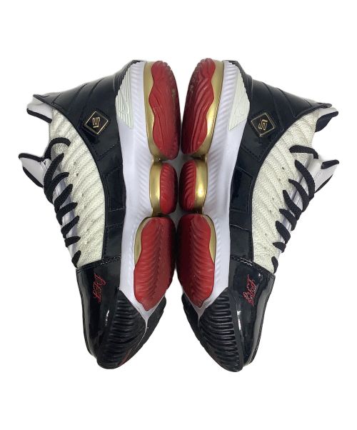 NIKE（ナイキ）NIKE (ナイキ) LEBRON XVI SB ホワイト×ブラック サイズ:25.5cmの古着・服飾アイテム