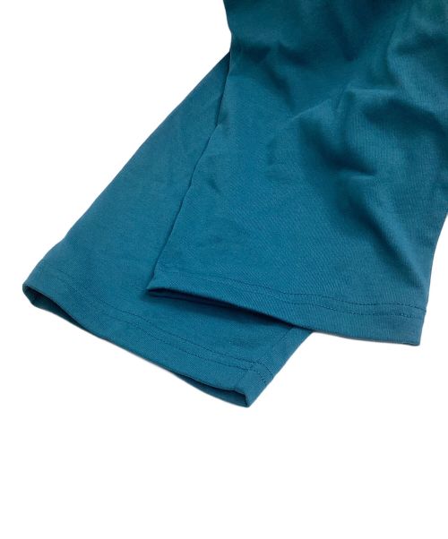 THE NORTH FACE（ザ ノース フェイス）THE NORTH FACE (ザ ノース フェイス) ラグランスリーブカットソー ホワイト×ブルー サイズ:Lの古着・服飾アイテム