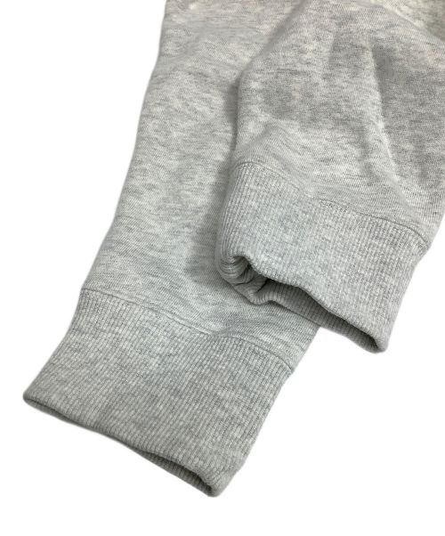 THE NORTH FACE（ザ ノース フェイス）THE NORTH FACE (ザ ノース フェイス) パーカー グレー サイズ:Mの古着・服飾アイテム