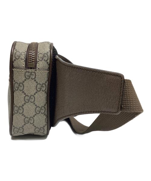 GUCCI（グッチ）GUCCI (グッチ) ウエストバッグ ブラウンの古着・服飾アイテム