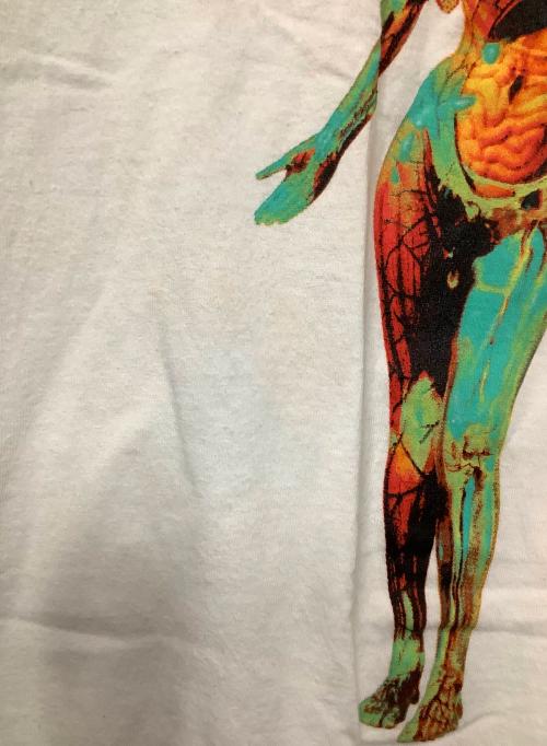 NIRVANA（ニルヴァーナ）NIRVANA (ニルバーナ) バンドTシャツ ホワイト サイズ:Lの古着・服飾アイテム