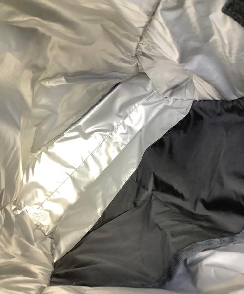 LeSportsac（レスポートサック）LeSportsac (レスポートサック) 2WAYバッグ ブラックの古着・服飾アイテム