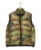 THE NORTH FACEザ ノース フェイス）の古着「ダウンベスト」｜グリーン