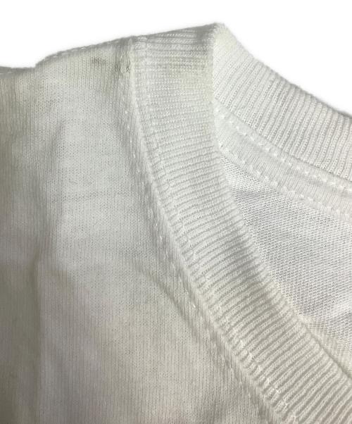 stussy（ステューシー）stussy (ステューシー) 半袖カットソー ホワイト サイズ:Lの古着・服飾アイテム