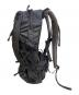 Columbia (コロンビア) ブルーリッジマウンテン30Lバックパック ブラック 未使用品：10000円
