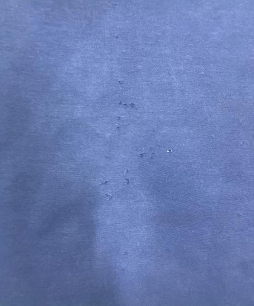 POLO RALPH LAUREN（ポロ・ラルフローレン）POLO RALPH LAUREN (ポロ・ラルフローレン) プルオーバーパーカー ブルー サイズ:Mの古着・服飾アイテム