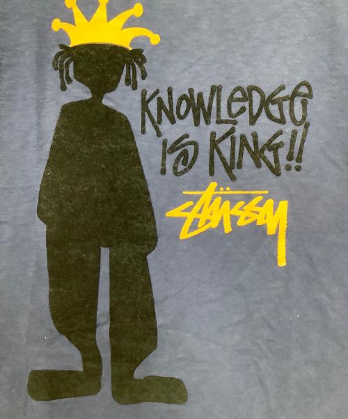 stussy（ステューシー）stussy (ステューシー) Champion (チャンピオン) 半袖カットソー ネイビー サイズ:Sの古着・服飾アイテム