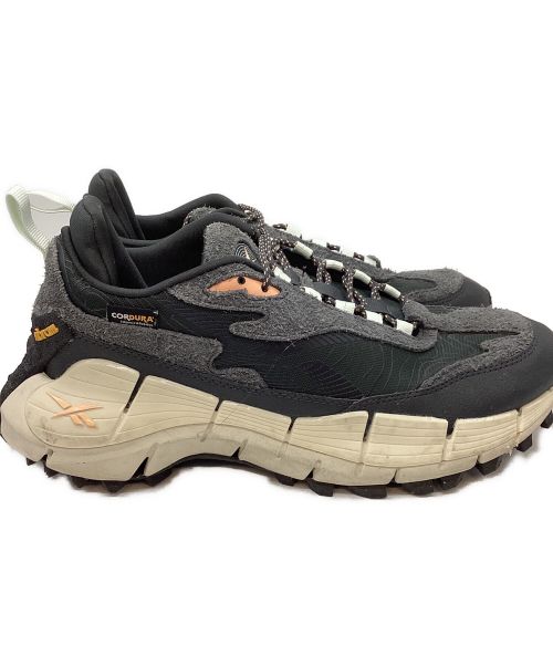 REEBOK（リーボック）REEBOK (リーボック) ローカットスニーカー ブラック×グレー×ホワイト サイズ:UK91/2の古着・服飾アイテム