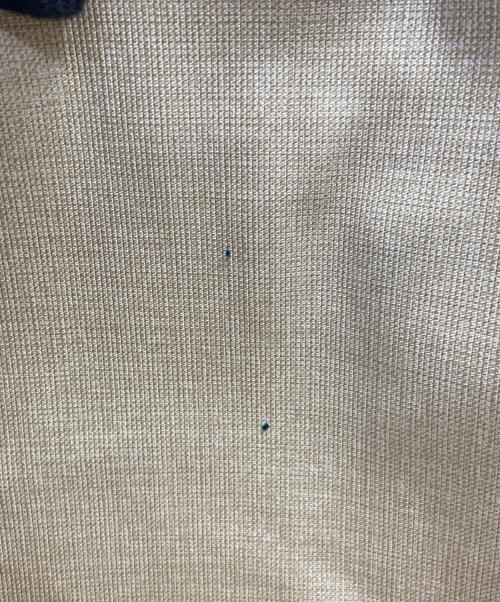 LOUIS VUITTON（ルイ ヴィトン）LOUIS VUITTON (ルイ ヴィトン) ボストンバッグ/モノグラム・アリゼ ドゥ ポッシュの古着・服飾アイテム