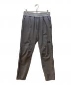 THE NORTH FACEザ ノース フェイス）の古着「トラックパンツ/Training Rib Pant」｜グレー