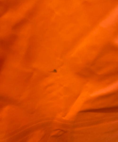 ARC'TERYX（アークテリクス）ARC'TERYX (アークテリクス) マウンテンパーカー/ベータジャケット オレンジ サイズ:Lの古着・服飾アイテム