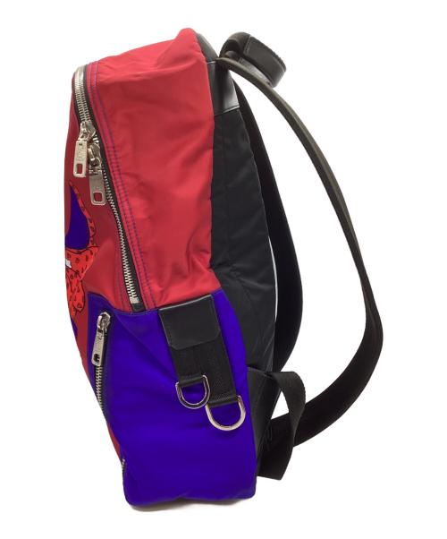 DOLCE & GABBANA（ドルチェ＆ガッバーナ）DOLCE & GABBANA (ドルチェ＆ガッバーナ) リュック レッド×ブルーの古着・服飾アイテム