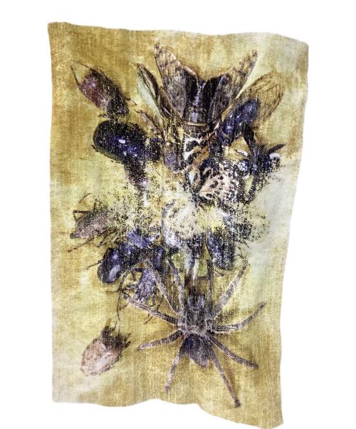 maison kitsune（メゾンキツネ）maison kitsune (メゾンキツネ) Toiletpaper (Toiletpaper) デニムジャケット ホワイト サイズ:Mの古着・服飾アイテム