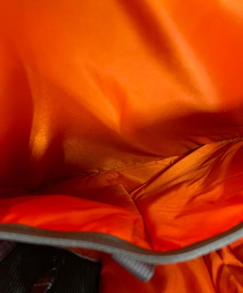 Patagonia（パタゴニア）Patagonia (パタゴニア) リュック オレンジの古着・服飾アイテム