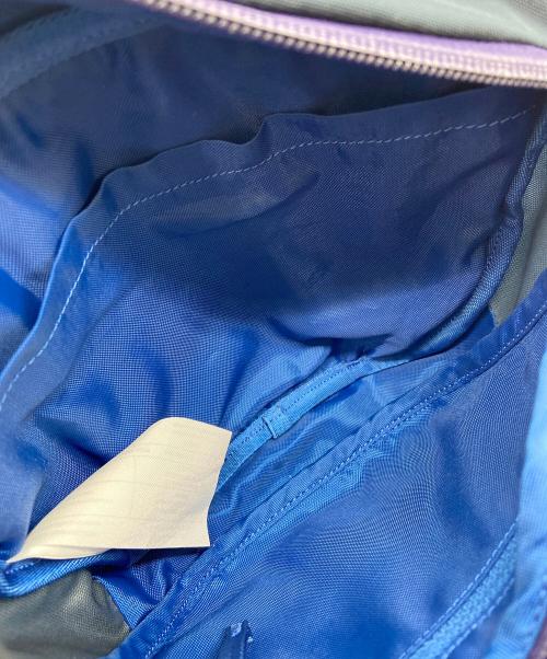 ARC'TERYX（アークテリクス）ARC'TERYX (アークテリクス) ウエストポーチ ネイビー×パープルの古着・服飾アイテム