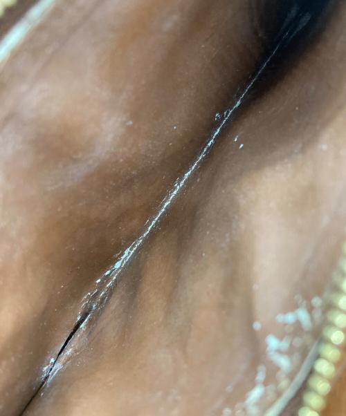 LOUIS VUITTON（ルイ ヴィトン）LOUIS VUITTON (ルイ ヴィトン) 長財布/ポルトモネ・ジップ ブラウンの古着・服飾アイテム