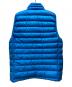 Patagonia (パタゴニア) ダウンベスト ブルー サイズ:M：8000円