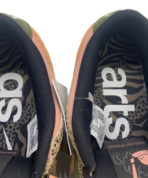NIKE SB（ナイキエスビー）NIKE SB (ナイキエスビー) Arts Rec (アーツレック) Dunk Low Pro 