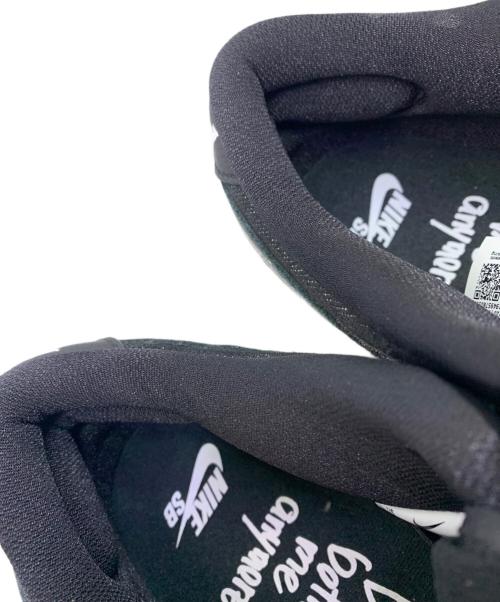 NIKE SB（ナイキエスビー）NIKE SB (ナイキエスビー) WASTED YOUTH (ウェイステッドユース) Dunk Low 