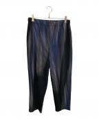 HOMME PLISSE ISSEY MIYAKEオム プリッセ イッセイ ミヤケ）の古着「HOMME PLISSE ISSEY MIYAKE　ブラック×ブルー　パンツ」｜ブラック×ブルー