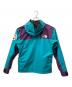 THE NORTH FACE (ザ ノース フェイス) ゴアテックス マウンテンジャケット ブルー×パープル サイズ:L：20000円
