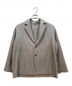 HOMME PLISSE ISSEY MIYAKEオム プリッセ イッセイ ミヤケ）の古着「プリーツジャケット ポロシャツ」｜グレー